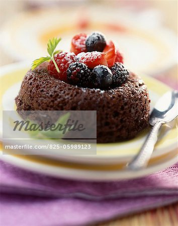 moist chocolate sponge with summer fruit