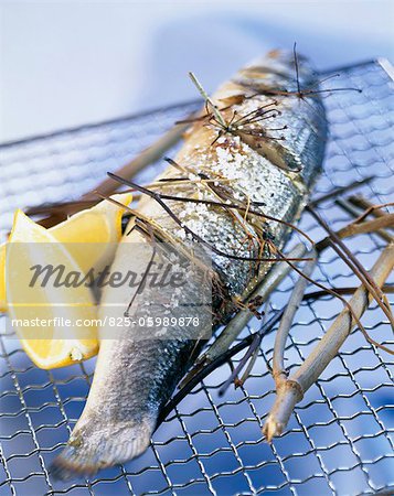 grilled bass with dried fennel