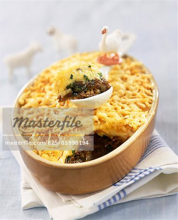 duck shepherd's pie