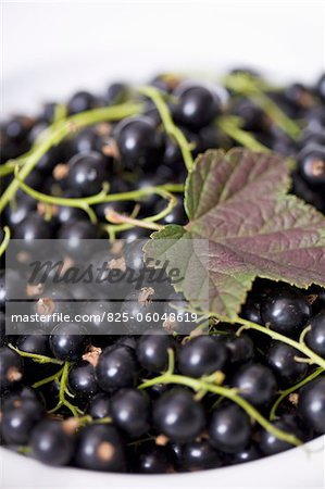 Blackcurrants Blackcurrants