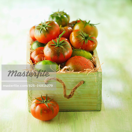 Crate of tomatoes