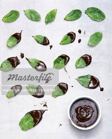 Crystallized mint leaves dipped in chocolate