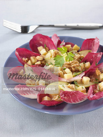 Red chicory,apple,walnut and  Appenzeller cheese salad