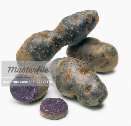 Vitelotte purple potatoes