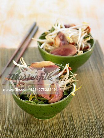 Beansprout,rocket lettuce,duck magret and sun-dried tomato salad