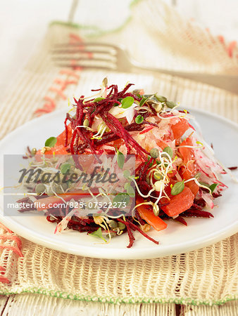 Beetroot,sliced red pepper,lentil sprouts and tomato salad