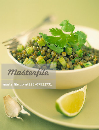 Green lentil and celery stalk salad with cilantro