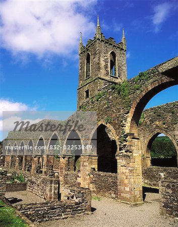 Baltinglass Abbey, Baltinglass, Co Wicklow, Ireland, Cistercian Abbey