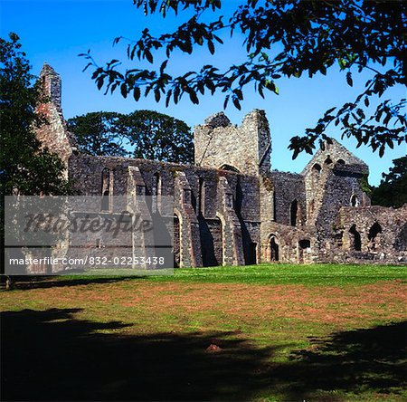 Grey Abbey, Co Down, Ireland, Ruins of a Cistercian Abbey