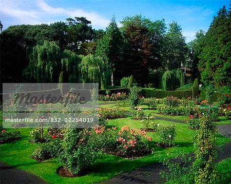 National Botanic Gardens Dublin, The Rose Garden, Mid-Summer