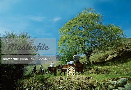 Co Kerry, Killarney, Gap of Dunloe