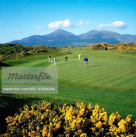 Golf Courses, The Royal Newcastle Co Down