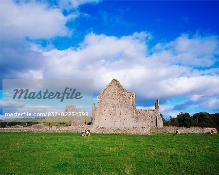 Co Tipperary, Rock of Cashel