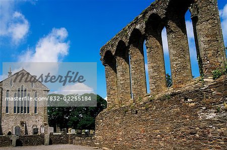 St Mary's Abbey, Ferns, Co Wexford, Ireland