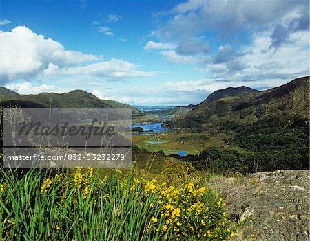Panoramic view of the landscape, Ladies view, Killarney, County Kerry, Republic Of Ireland