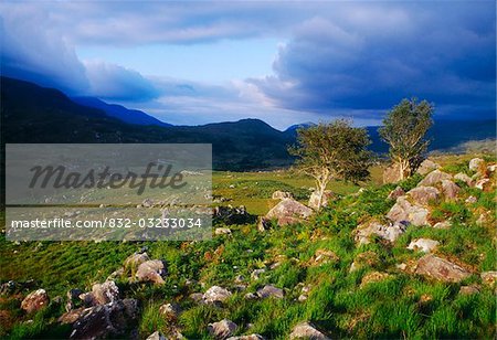 Molls Gap, Killarney National Park, County Kerry, Ireland; Rocky scenic