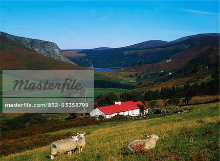 Traditional Cottages, Near Lough Tay, Co Wicklow
