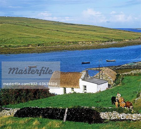 Houses At A Riverside, Clifden, Connemara, County Galway, Republic Of Ireland