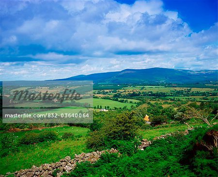 Irish Countryside