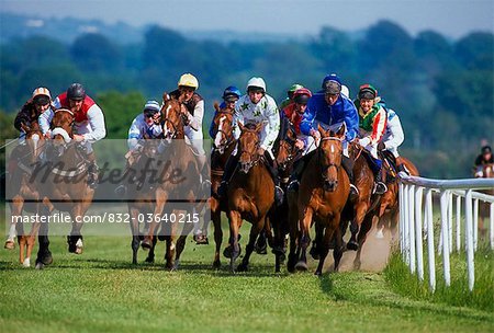 Horse Racing, Ireland; Jockeys Racing Their Horses