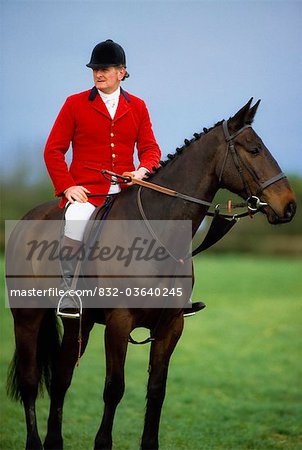Ireland, Horse Sport, Hunting
