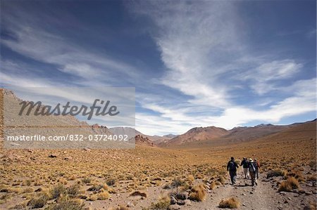 Four tourists walking in desert