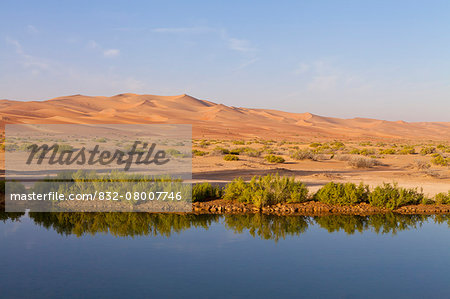 Pond in Empty Quarter in Liwa Oasis; Liwa Oasis, Abu Dhabi, United Arab Emirates