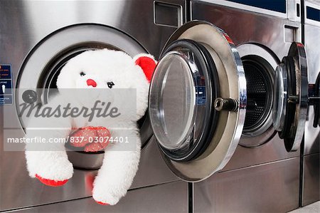 teddy bear washing machine
