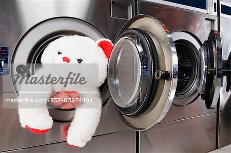 teddy bear in washing machine