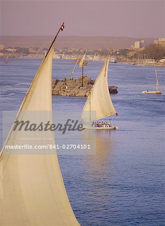 Feluccas on the Nile River, Aswan, Egypt, North Africa, Africa