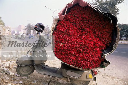 Flower market, Lado Sarai, Delhi, India, Asia