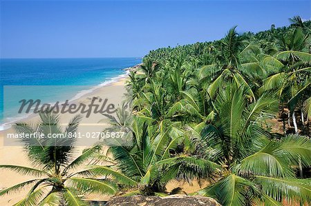 Beach and coconut palms, Kovalam Beach, Kerala state, India, Asia