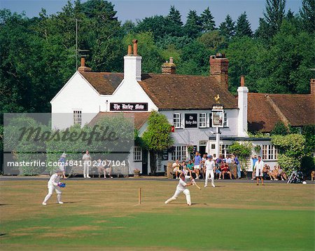 Village green cricket, Tilford, Surrey, England, UK