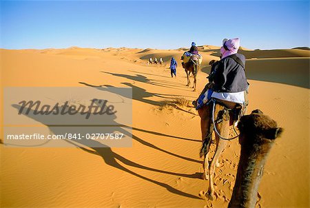 Camel trek in Sahara dunes near Merzouga, Morocco, North Africa