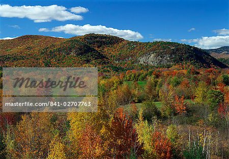 Aerial view over woodland and rolling hills in fall colours, White Mountain National Park, New Hampshire, New England, United States of America, North America