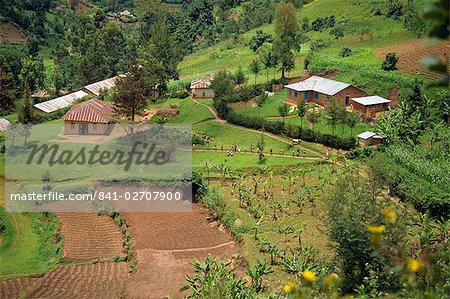 Aerial view of children leaving school and terraced fields, Kabale, Uganda, Africa