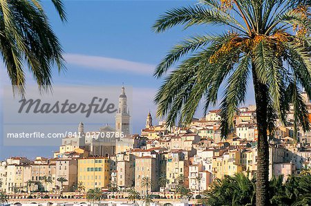 Old town framed by palms, Menton, Alpes-Maritimes, Cote d'Azur, Provence, French Riviera, France, Mediterranean, Europe