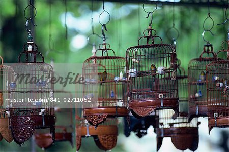 Caged birds for sale, Chinatown, Singapore, Southeast Asia, Asia