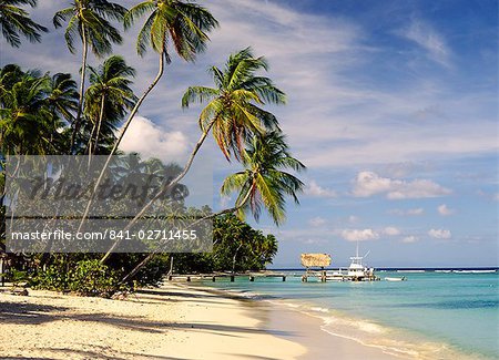 Jetty off Pigeon Point, Tobago, Caribbean