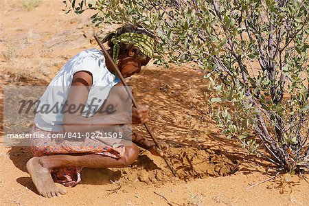 Aborigine woman digging for wichetty grubs, Northern Territory, Australia, Pacific