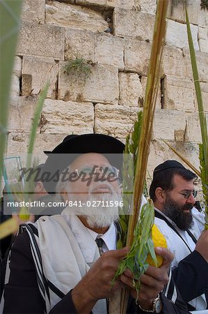 Jew wearing prayer shawl blessing the Lulav and Etrog (palm frond), Sukot (Festival of Booths), Western Wall, Jerusalem, Israel, Middle East Jew wearing prayer shawl blessing the Lulav and Etrog (palm frond), Sukot (Festival of Booths), Western Wall, Jerusalem, Israel, Middle East