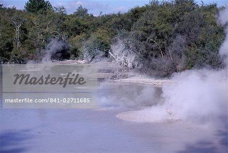 Steam and bubbling mud pools in thermal area, Rotorua, South Auckland, North Island, New Zealand, Pacific