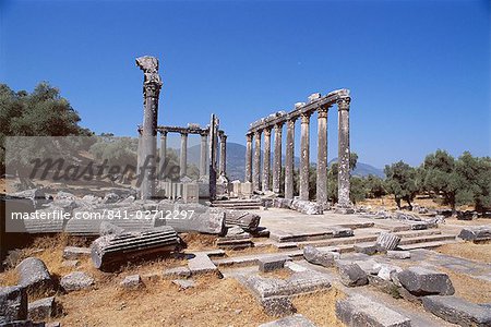 Ruins of the Temple of Zeus, archaeological site, Euromos, near Bodrum, Anatolia, Turkey, Asia Minor