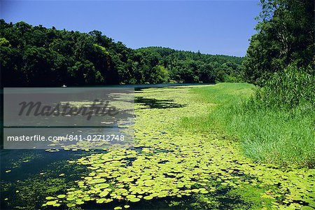 Barron River, Kuranda, Queensland, Australia, Pacific