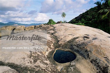 Small pool on rock, Ile Therese (Therese island), northwest coast, island of Mahe, Seychelles, Indian Ocean, Africa