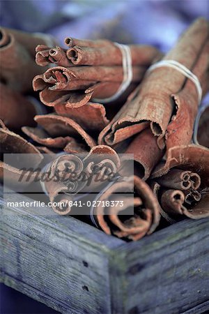Cinnamon sticks at the market, Fort de France, island of Martinique, Lesser Antilles, French West Indies, Caribbean, Central America