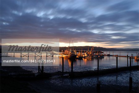 Fishing and crabbing boats at low tide after sunset, in dock at the end of the road in Grayland, Washington State, United States of America, North America