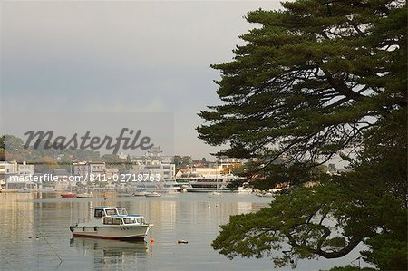 Matsushima Bay, Northern Honshu (Tohoku), Japan, Asia