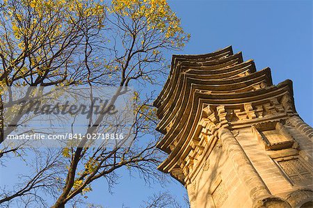 Tree and pagoda, Tanzhe Temple, Beijing, China, Asia