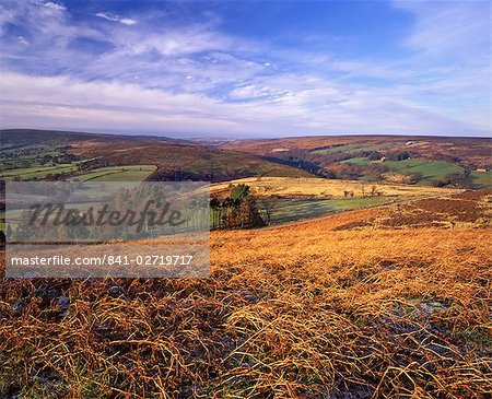 Westerdale from Castleton Rigg, North York Moors National Park, North Yorkshire, England